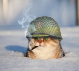 Паладин