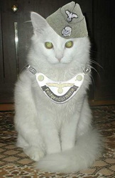 Lukav